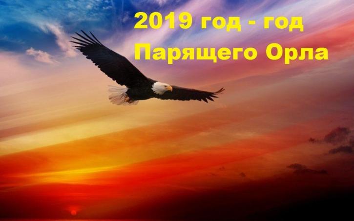 С новым 2019 годом