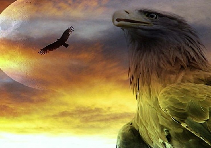 Новому 2019-му году Парящего Орла! Сбор