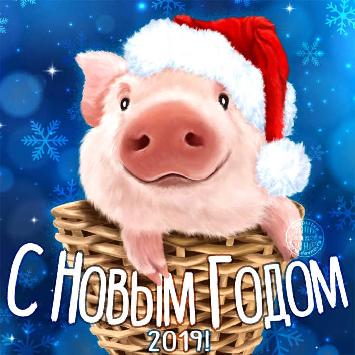 С Новым 2019 годом