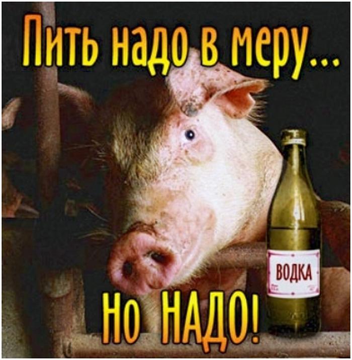 Ну что выпьем картинки