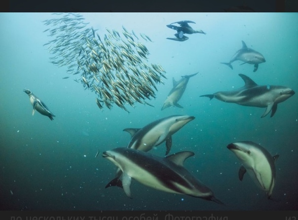 Кипящие воды