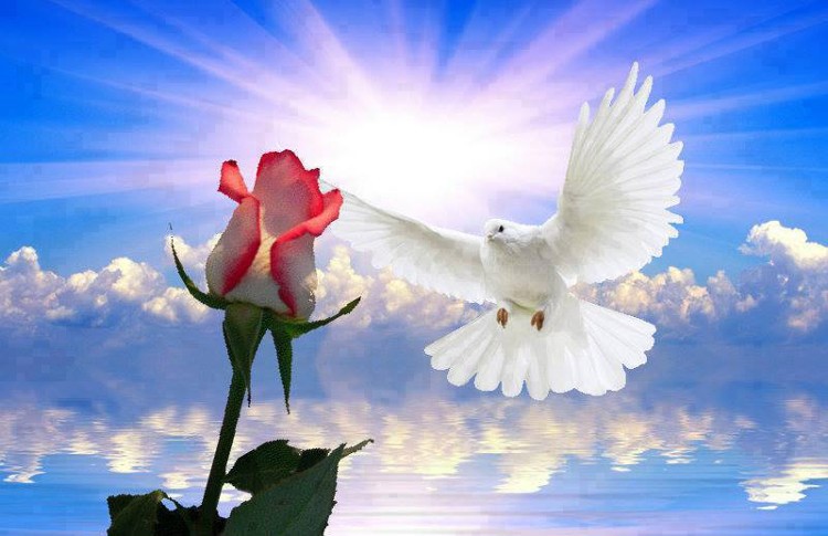 После бури всегда затишье