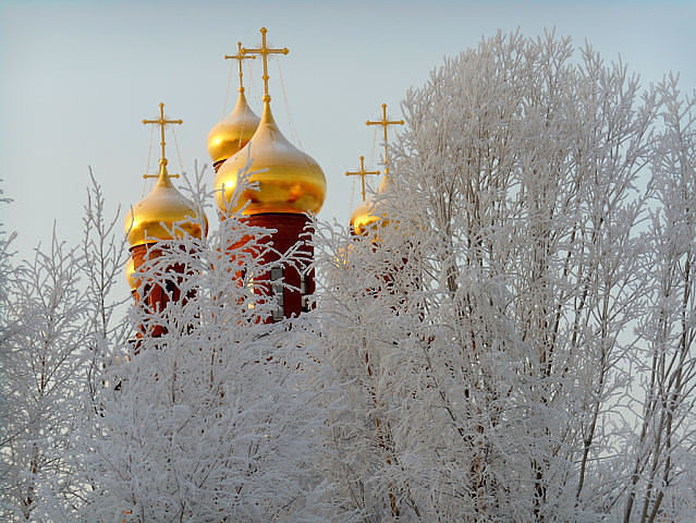 К чести призывают!