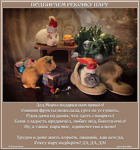 Подбираем Рексику пару