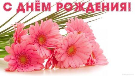 Самый лучший зять...