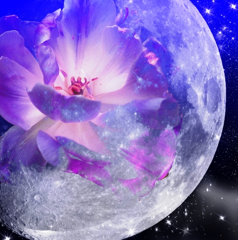 Космос и цветы сценарий встречи