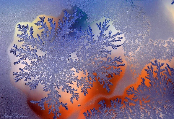 Финифть узорная зимы