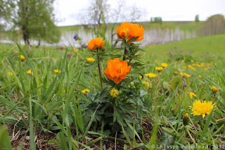 Рабов всё меньше