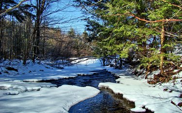 Ты - Эхо моё!