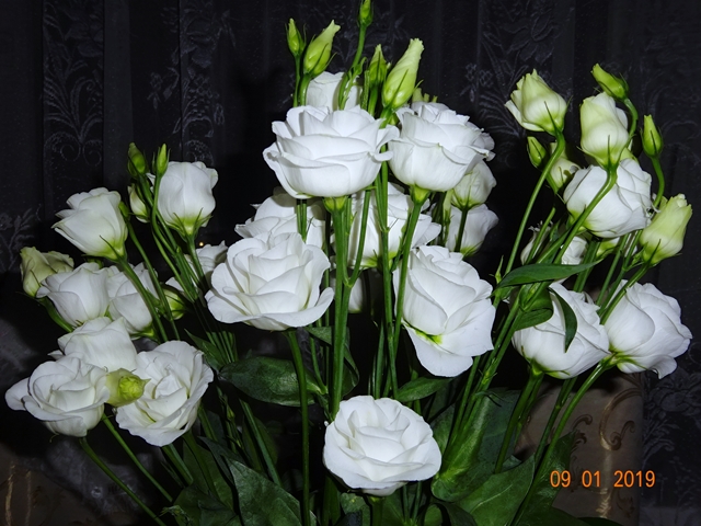 Цветок с тайною - душа!