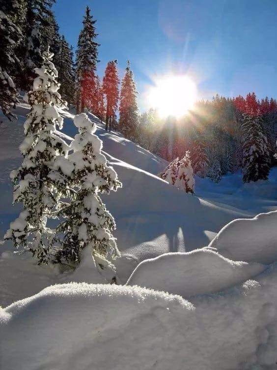 Род и Зима. Сказ