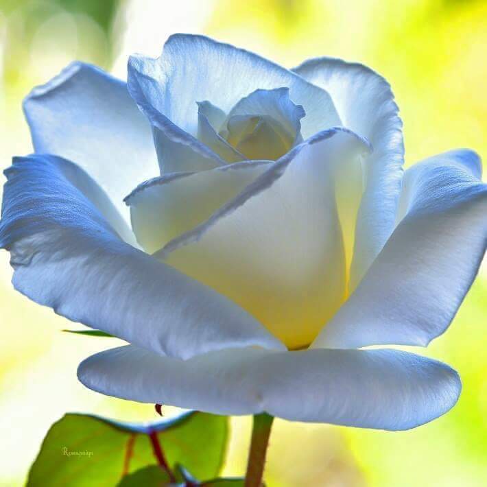 За моей спиной