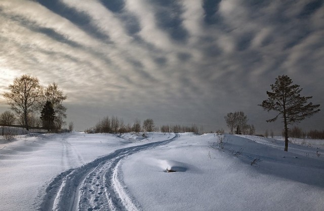 Снежное безмолвие