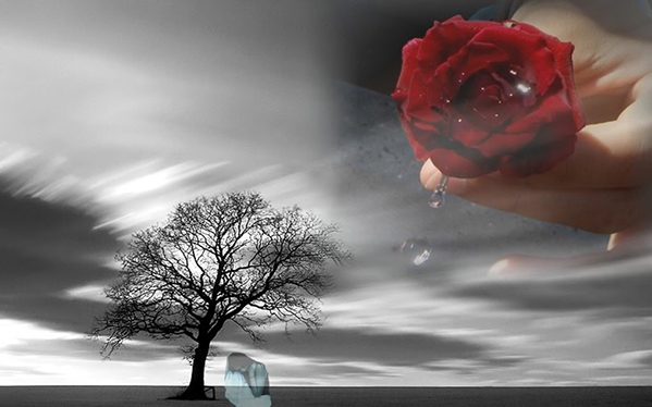 Где ты, любимый, в каких ты мирах?