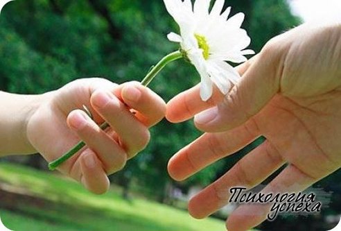 На нежность - нет табу на свете...