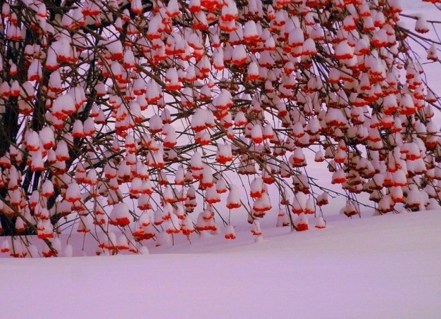 Жизнь смешнее анекдота