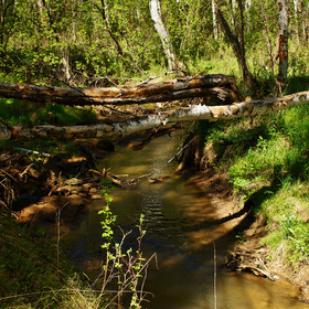 574 единственное занятие