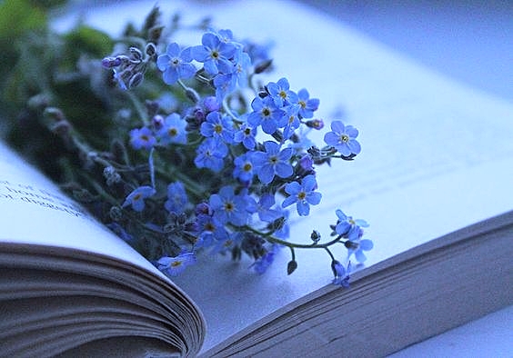 C понятьем - Честь!