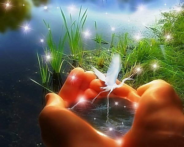 Самое главное в жизни любить