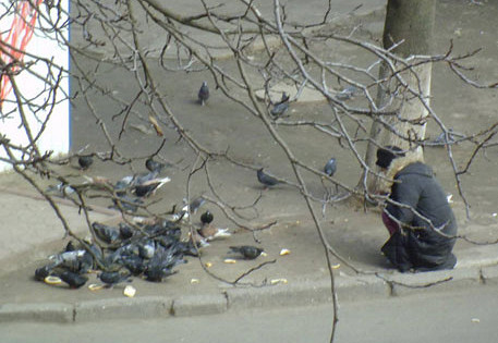 Хлебные крошки