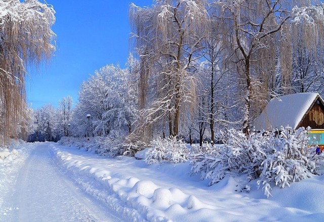 Между рождением и тризной