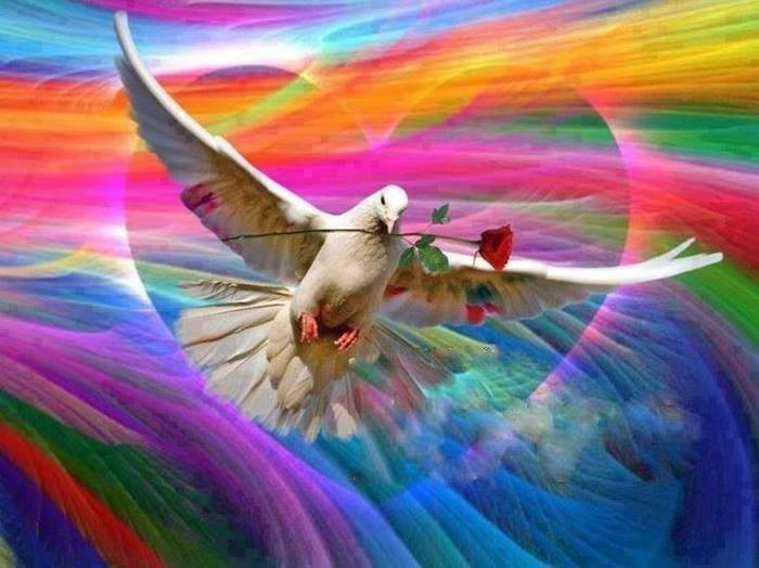 Навстречу солнцу и весне...