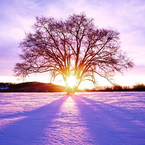 Я знаю, что мне многое - в кредит