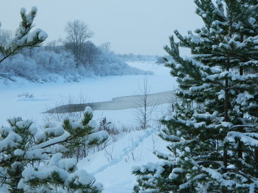 Торжествует зима...