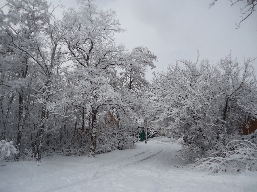 Зимняя сказка