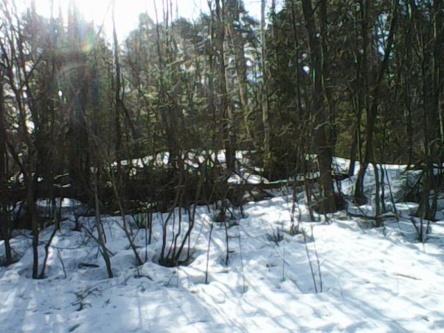 Счастье рядом