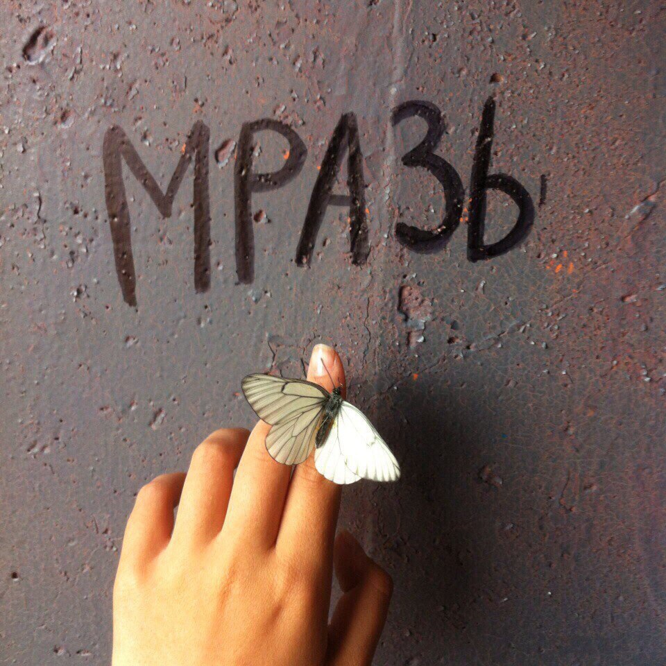 Кем ты стал?