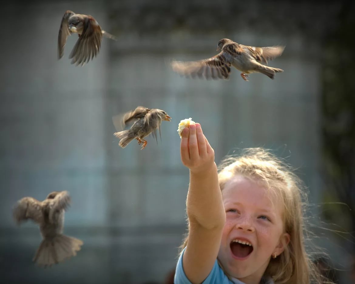 Птичка радуется. Птицы для детей. Радостная птичка. Дети радуются. Детишки птиц.