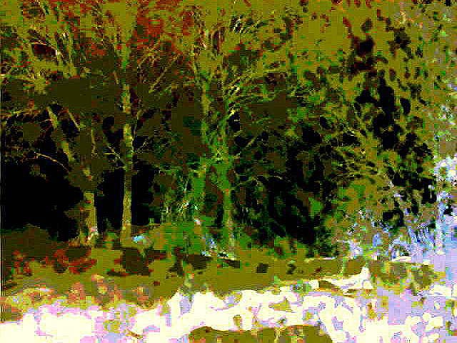 Живёт она, как Долли, - в клонах