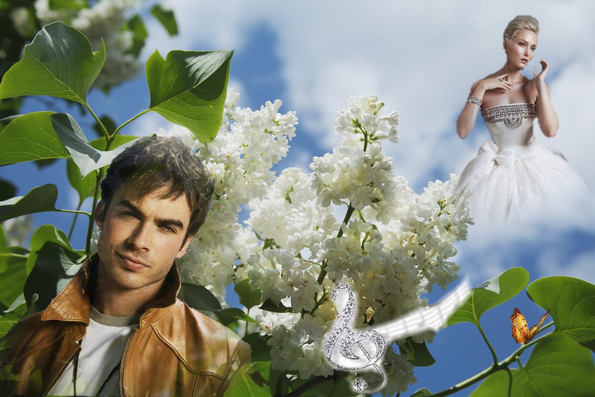 Исполнитель песни дарите женщинам цветы. Мужчина и сирень. Мужчина в цветущем саду.