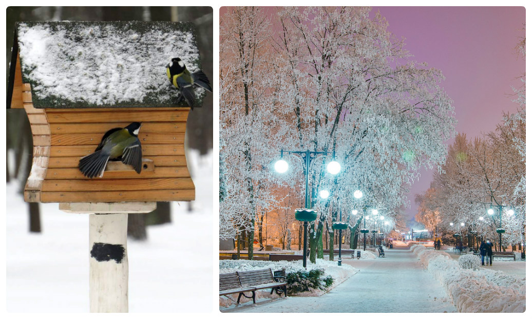 В город пришла зима