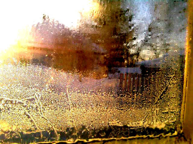 Под смокОвницей тихо, незримо