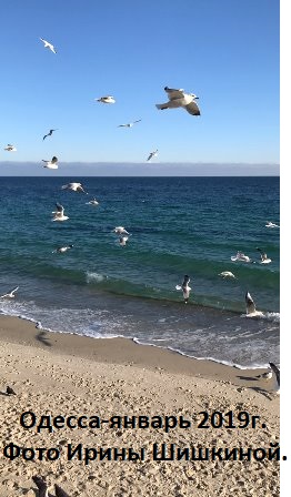 Январско-весеннее