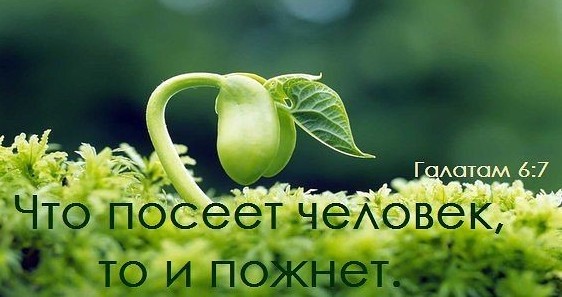 Что посеешь, то и пожнёшь