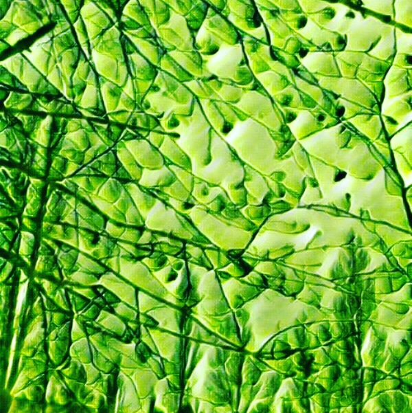 Зима весной (Сергей Белошапкин) / Стихи.ру