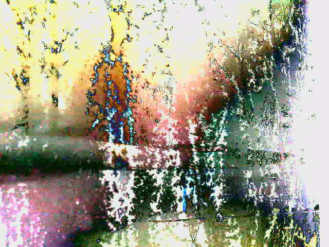 Кружится в сером низком небе