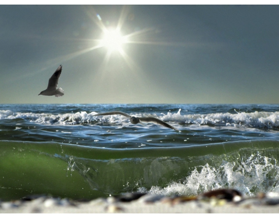 Никогда я не видела моря