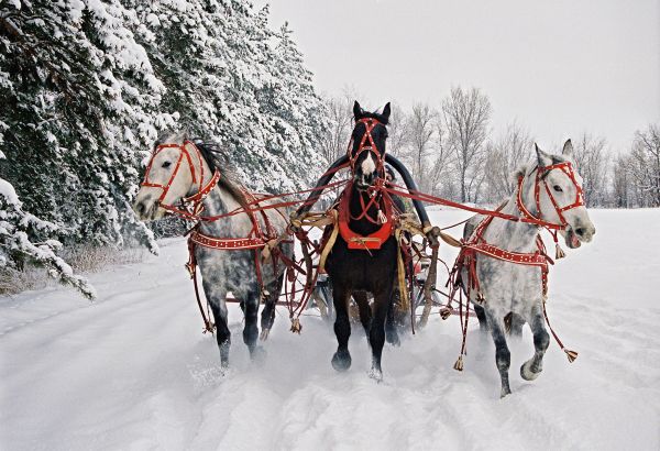 Иеэх, тройка!!!