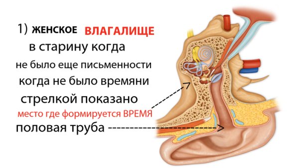 Стих Про Вагину