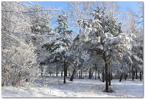 Ты всегда у меня был...