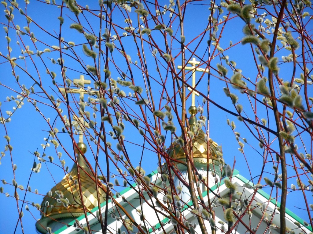 Я, не тётка - всякому верблюду!