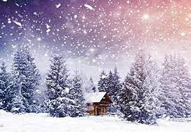 За моим окном тайком