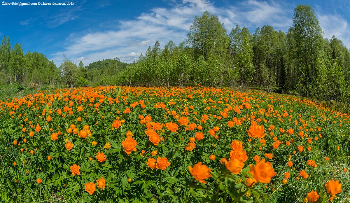 Россия - особенной стати и платья её дороги!