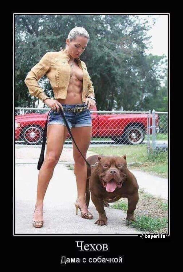 Не до искусства