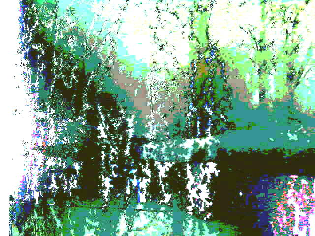 Бездумно ветер гонит листья...