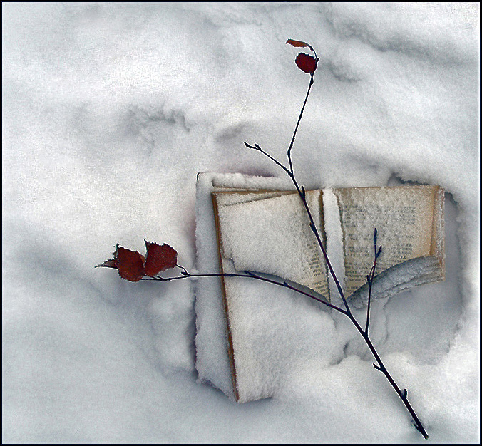 Проза жизни